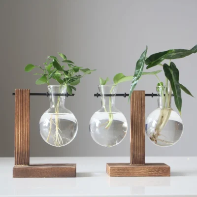 Terrarium hydroponique Cosy — Ampoule verre socle bois