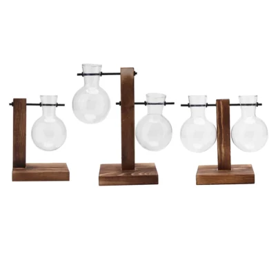 Pot bonsaï ampoule verre — Station propagation hydroponique